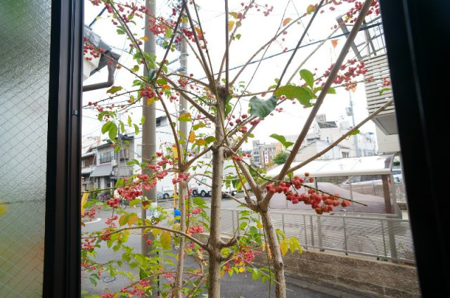 小華マンションの展望