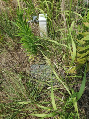 【その他】 | 鳥取市上味野土地