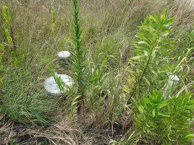 【その他】 | 鳥取市上味野土地