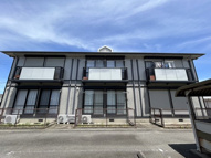 アベニュー野の画像