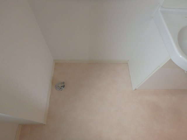 アマヤハイツの洗面所