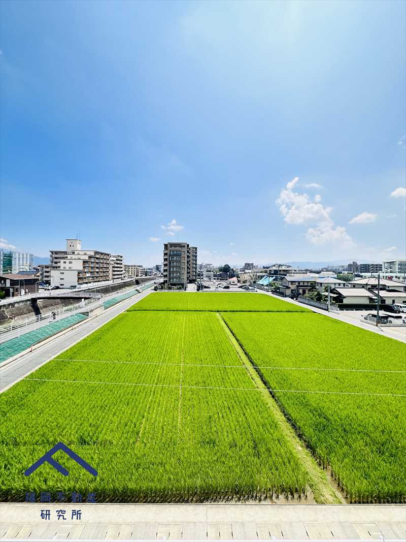 アンピール諸岡Ⅱの展望