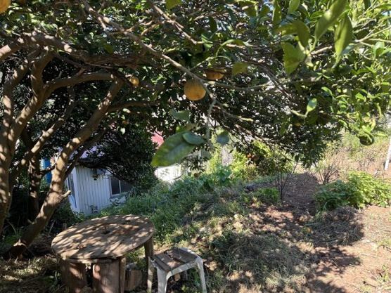 【外観】 | 東伊豆町稲取　売地