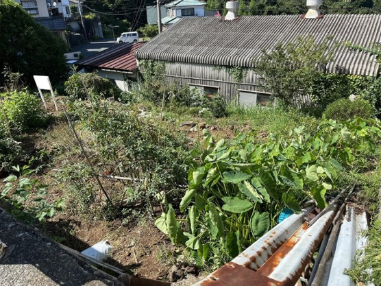 【外観】 | 東伊豆町稲取　売地