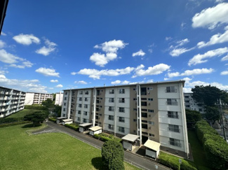 【展望】