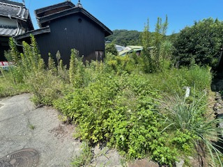 【周辺】 | 愛媛県今治市朝倉上 住宅用地