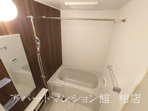 ル・リアン柏の葉Ⅱの周辺