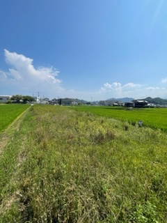 【土地図】 | 愛媛県今治市桜井２丁目 住宅用地