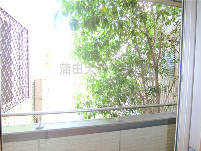 アゼリアコートの展望