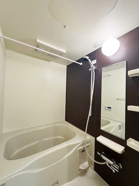 カーサプラシードの浴室