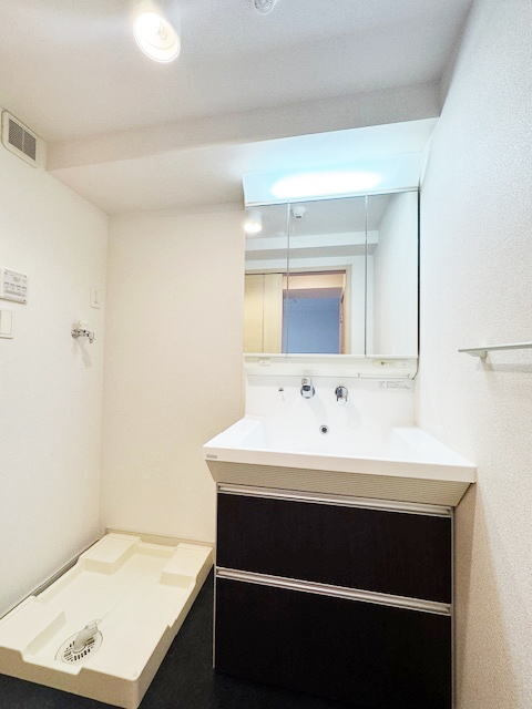 カーサプラシードの洗面所