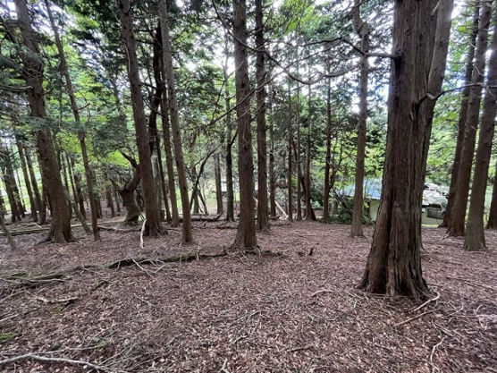 【外観】 | 東急天城高原別荘地　売地