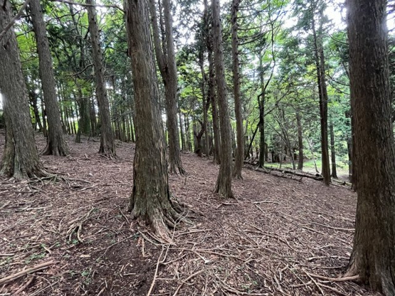 【外観】 | 東急天城高原別荘地　売地