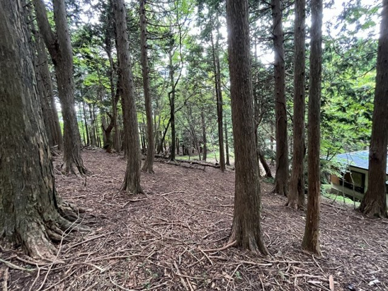 【外観】 | 東急天城高原別荘地　売地
