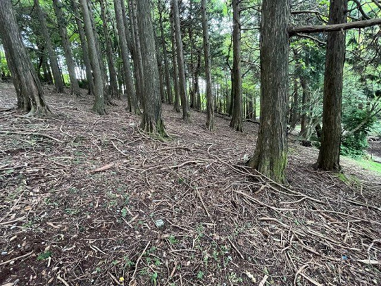 【外観】 | 東急天城高原別荘地　売地