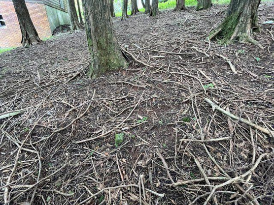 【外観】 | 東急天城高原別荘地　売地