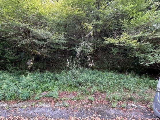 【外観】 | 東急天城高原別荘地　売地