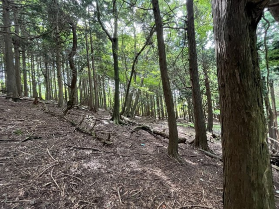 【外観】 | 東急天城高原別荘地　売地