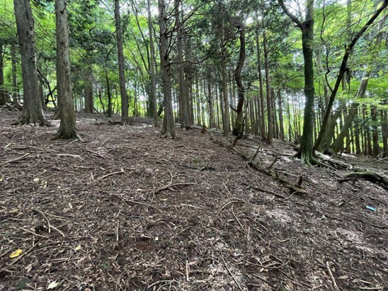 【外観】 | 東急天城高原別荘地　売地