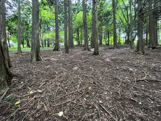【外観】 | 東急天城高原別荘地　売地