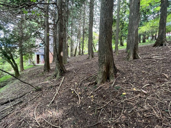 【外観】 | 東急天城高原別荘地　売地