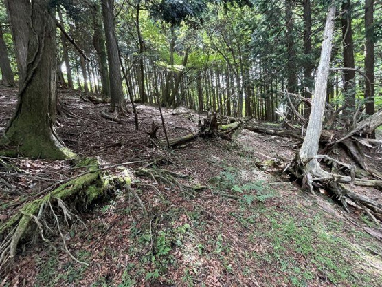 【外観】 | 東急天城高原別荘地　売地