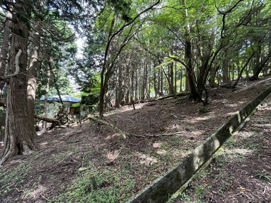 【外観】 | 東急天城高原別荘地　売地