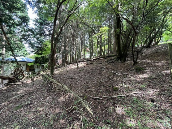 【外観】 | 東急天城高原別荘地　売地