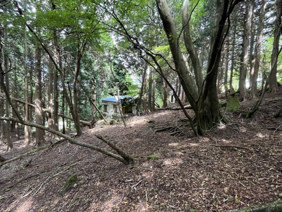 【外観】 | 東急天城高原別荘地　売地