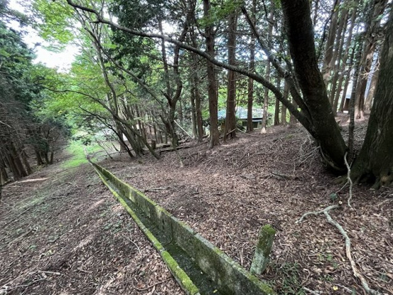 【外観】 | 東急天城高原別荘地　売地