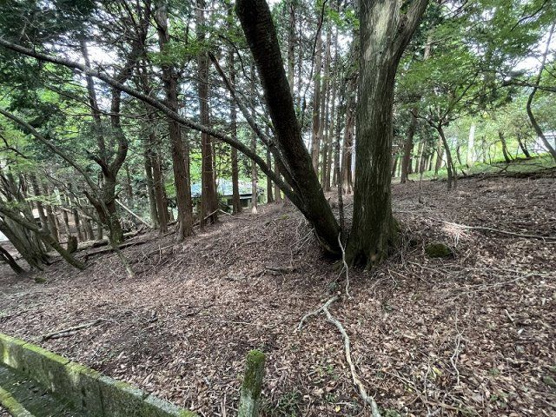 【外観】 | 東急天城高原別荘地　売地