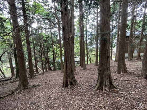 【外観】 | 東急天城高原別荘地　売地