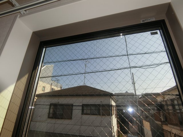 Knottonの展望
