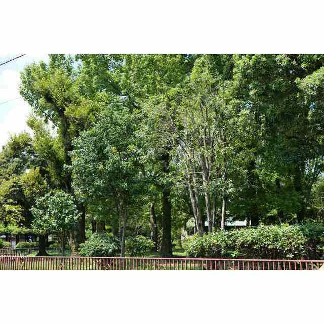 本荘公園前店舗のその他