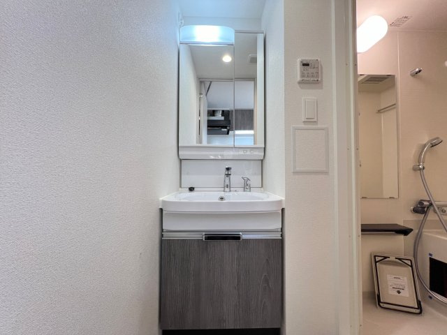 プレサンス大国町ラヴェニールの洗面所