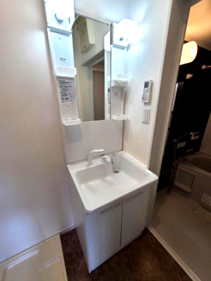 【独立洗面台】 | ALEGRIA諏訪ノ森