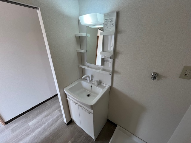 タウニィハイツ金剛の洗面所