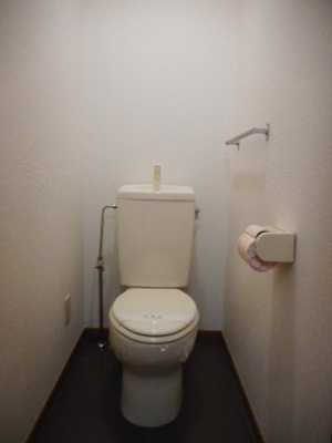 【トイレ】 | メゾン　チドリ | トイレです