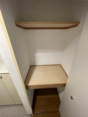シティテラス大新の収納|便利な収納スペースです