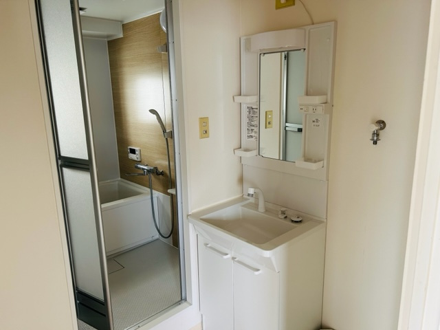 春日部市中央２丁目の賃貸マンションの洗面所