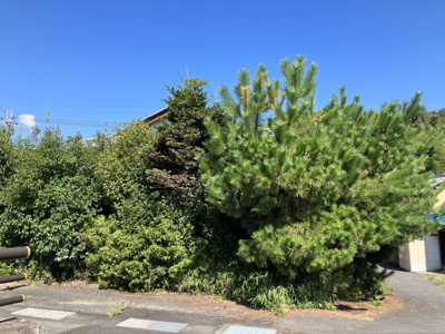 【周辺】 | 大津市苗鹿2丁目39-31 売土地