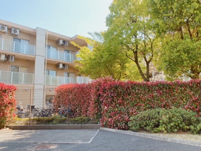 【その他】 | フォレスト446