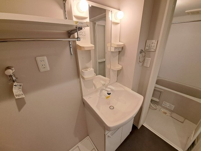 LUMINOUS GRANDEの洗面所