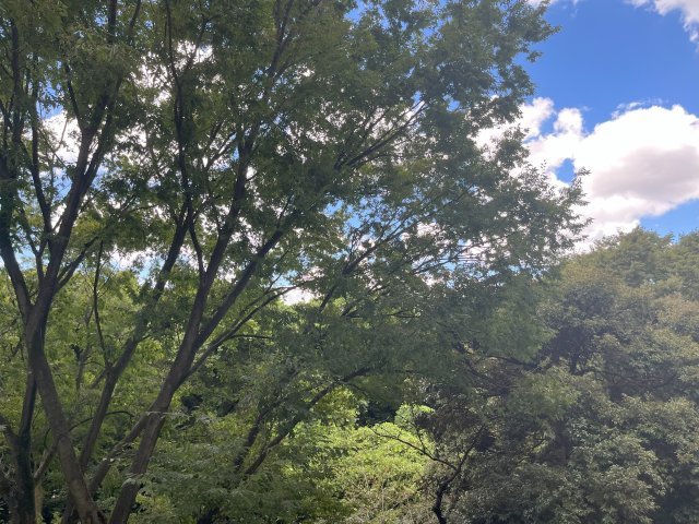 【展望】