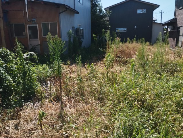 新町3丁目土地の周辺