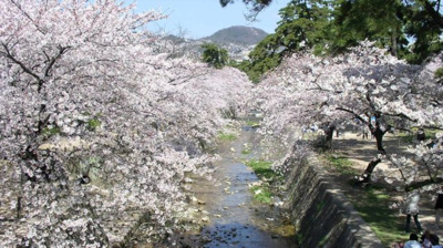 【周辺】 | 西宮市　松風町　建築条件無土地
