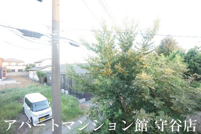 【展望】 | シェニールの光