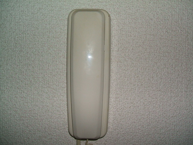 サニーヒル御井Ⅱ【キャッシュバック対象】のセキュリティ|インターホンです