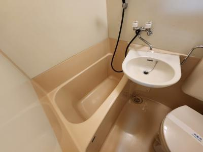 緑の館アネックスの浴室