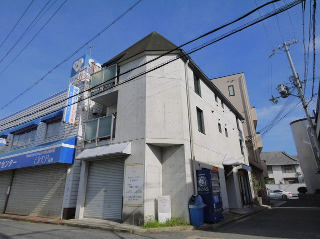 アレグレア桜